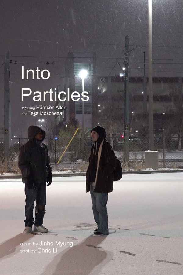 Into Particles Poster 1