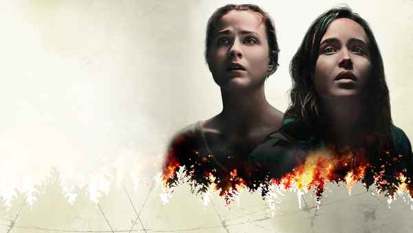 Into the Forest Poster 7