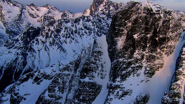 Into the Mind Poster 6