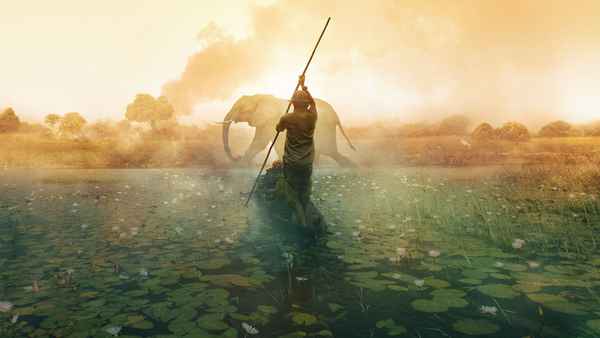Into the Okavango Poster 2
