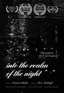 Into the Realm of the Night Poster 3