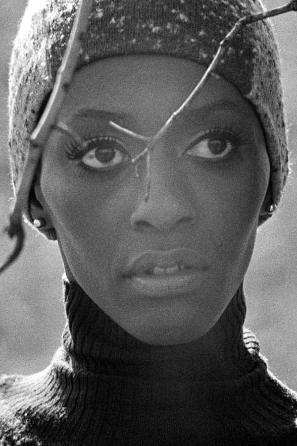 Invisible Beauty Poster 2