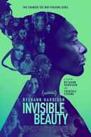 Invisible Beauty Poster 3