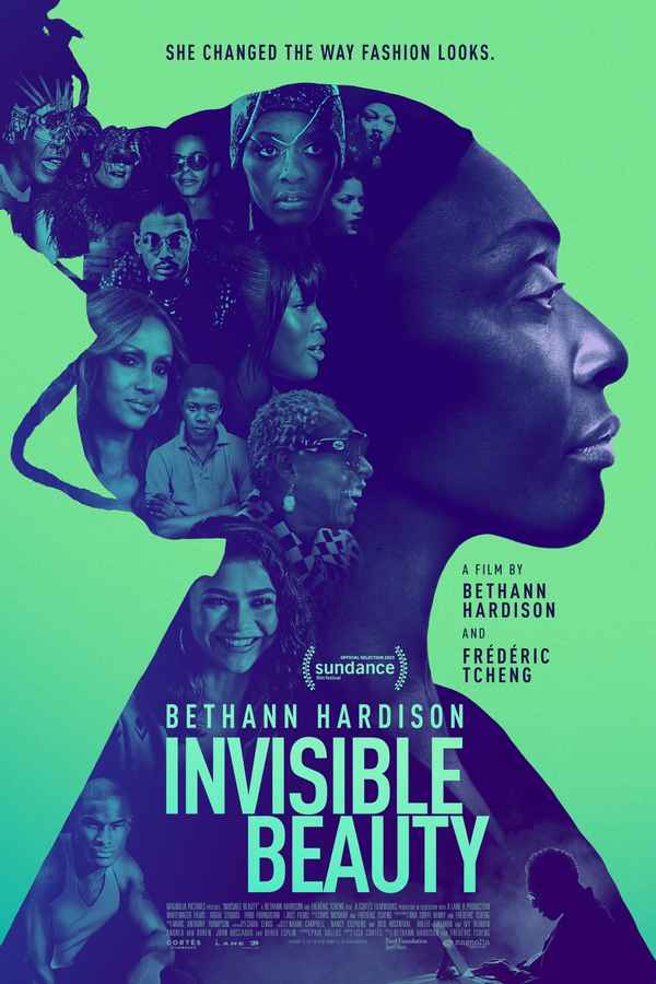 Invisible Beauty Poster 3