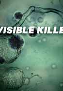 Invisible Killers Poster 6