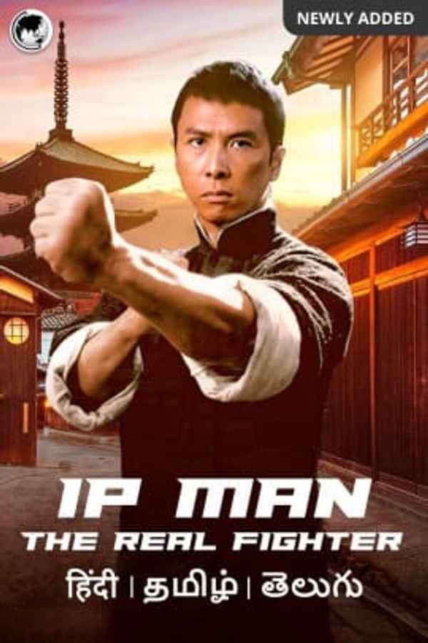IP Man The Real Fighter Poster 1