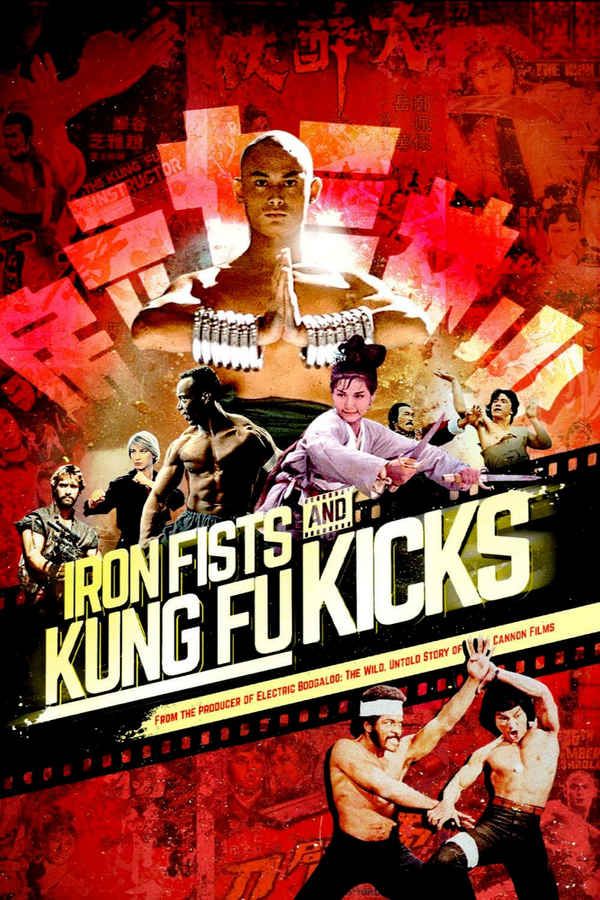 Iron Fists and Kung-Fu Kicks Poster 7