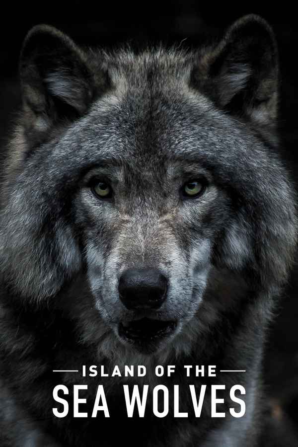 Island of the Sea Wolves Poster 7