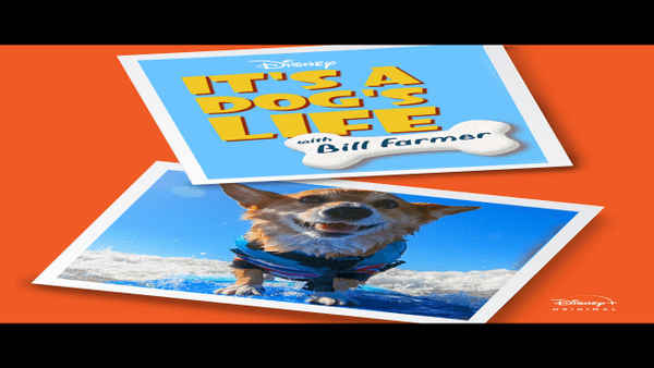 It's a Dog's Life with Bill Farmer Poster 7