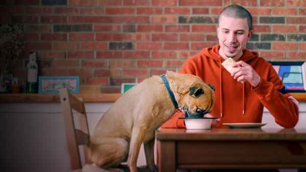 It's Bruno! Poster 1