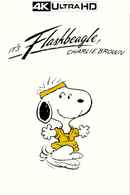 It's Flashbeagle, Charlie Brown Poster 4