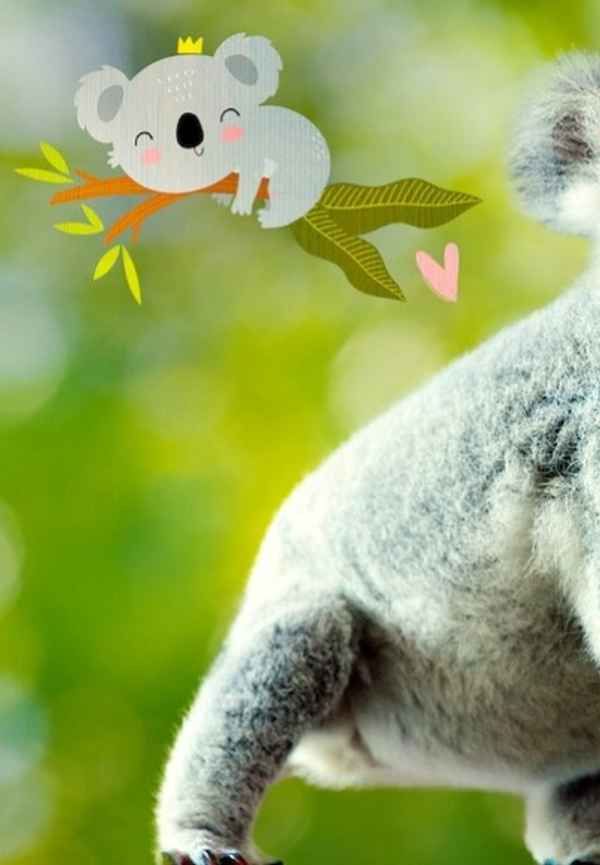 Izzy's Koala World Poster 6
