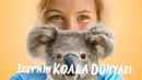 Izzy's Koala World Poster 2
