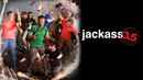 Jackass 3.5 Poster 2