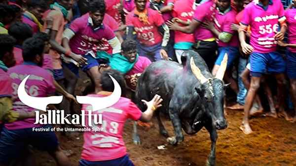 Jallikattu - Festival of the Untameable Spirit Poster 2