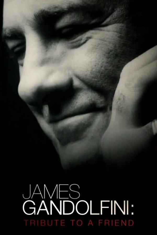James Gandolfini: Tribute to a Friend Poster 4