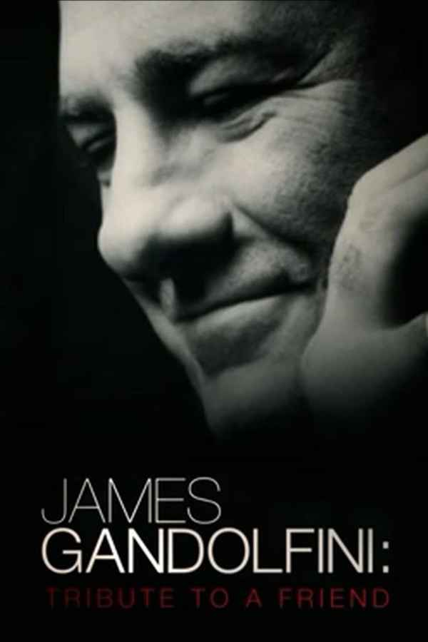 James Gandolfini: Tribute to a Friend Poster 2
