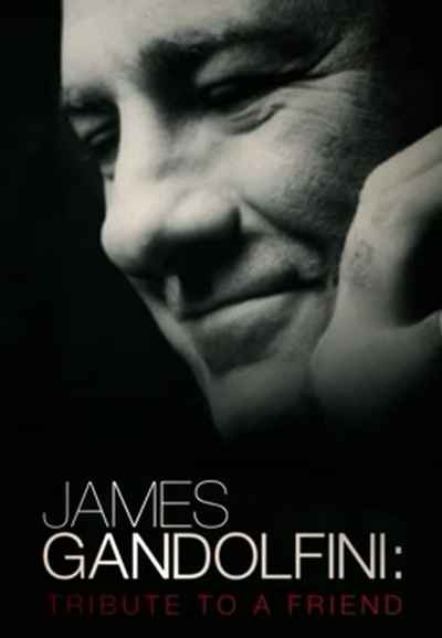 James Gandolfini: Tribute to a Friend