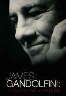 James Gandolfini: Tribute to a Friend Poster 5