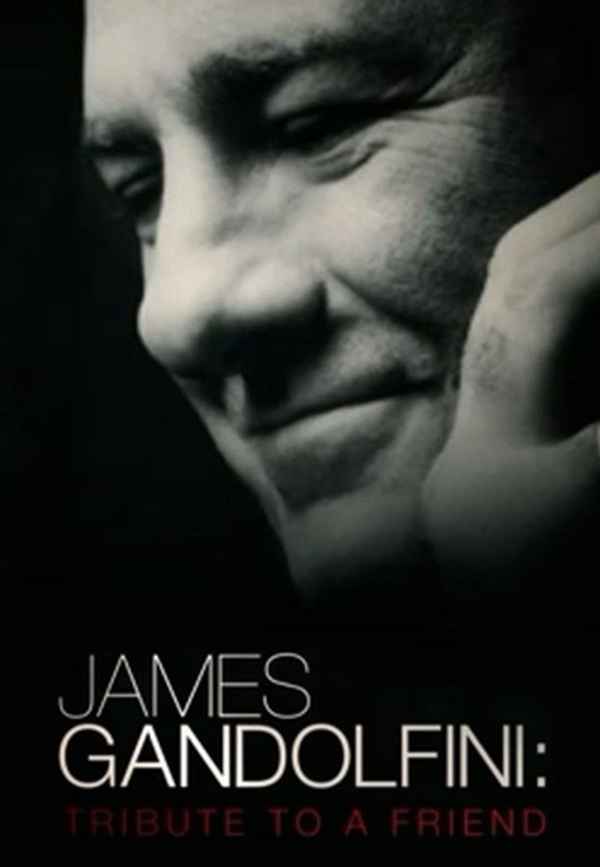 James Gandolfini: Tribute to a Friend Poster 5