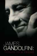 James Gandolfini: Tribute to a Friend Poster 1