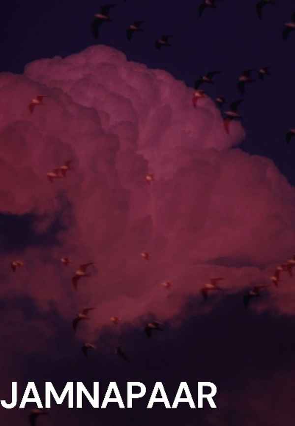Jamnapaar Poster 4