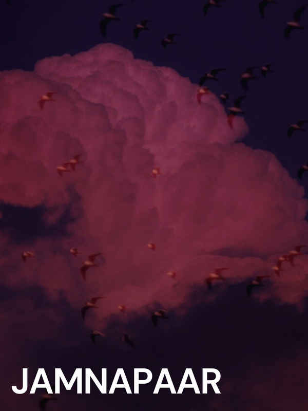 Jamnapaar Poster 1