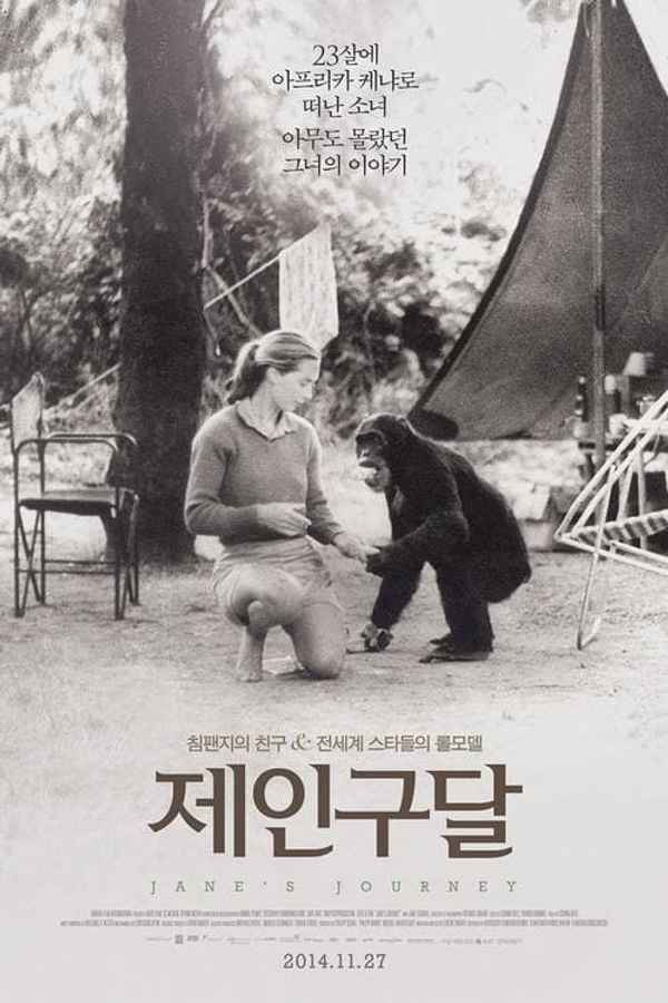 Jane's Journey Poster 3