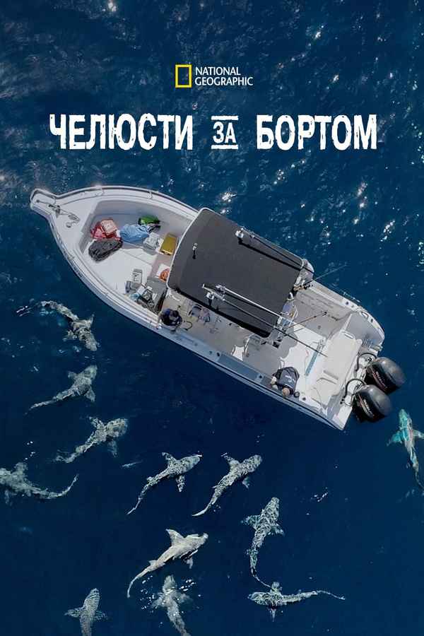 Jaws vs. Boats Poster 7