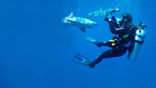 Jaws vs. Boats Poster 1