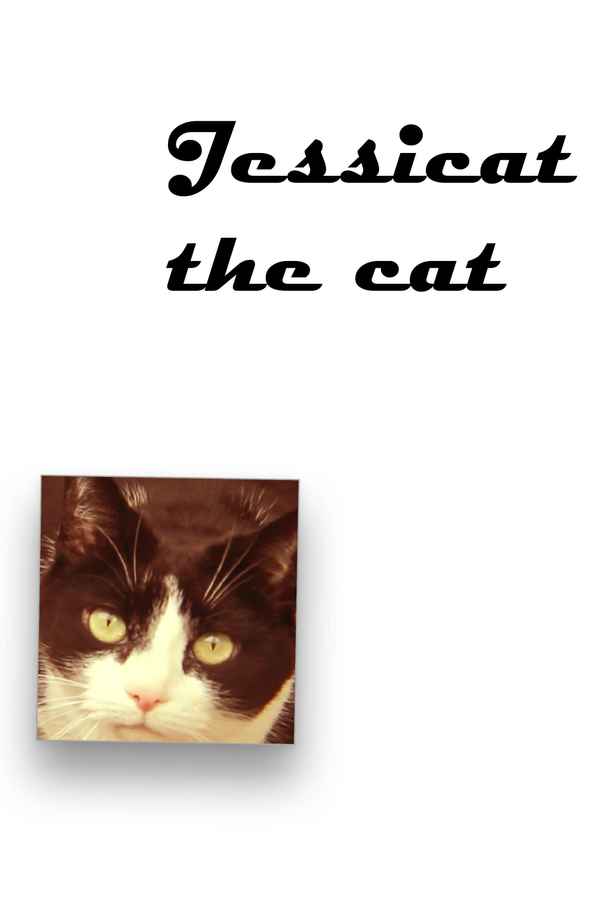 Jessicat the Cat