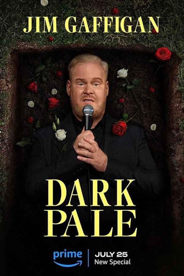 Jim Gaffigan: Dark Pale Poster 6