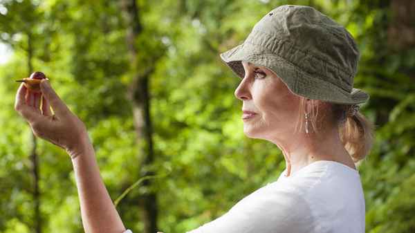 Joanna Lumley’s Spice Trail Adventure Poster 2