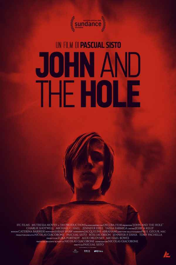 John and the Hole Poster 6