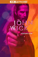 John Wick: Chapter 3 Parabellum Poster 4