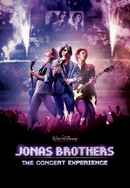 Jonas Brothers: The Concert Experience Poster 6