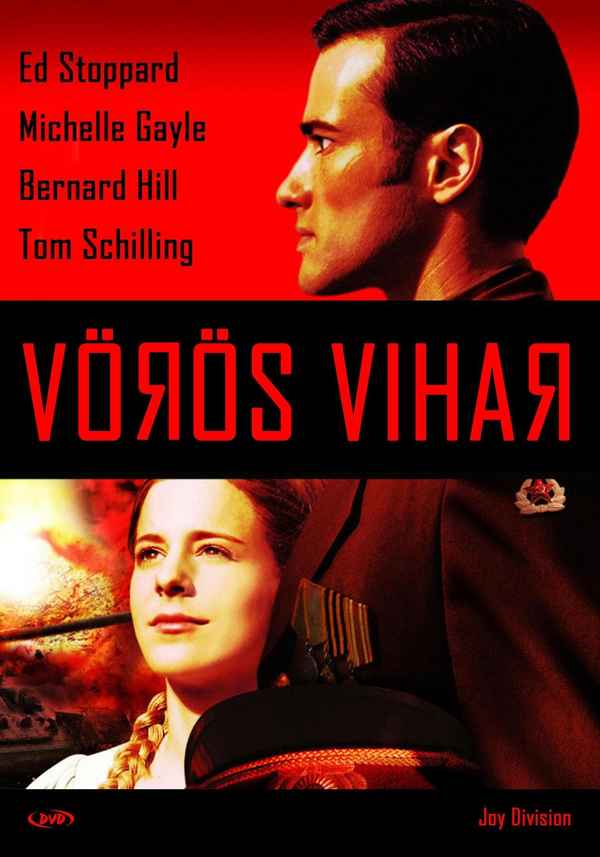 Joy Division Poster 7