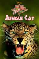 Jungle Cat Poster 4