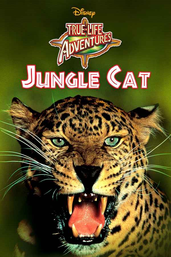 Jungle Cat Poster 4