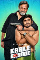 Kaale Dhande Poster 6