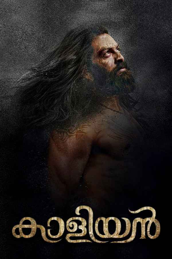 Kaaliyan Poster 5