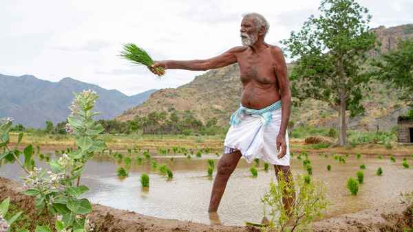 Kadaisi Vivasayi Poster 1