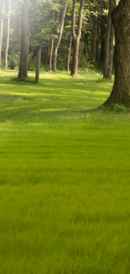 Kalaham Madhuram Poster 1