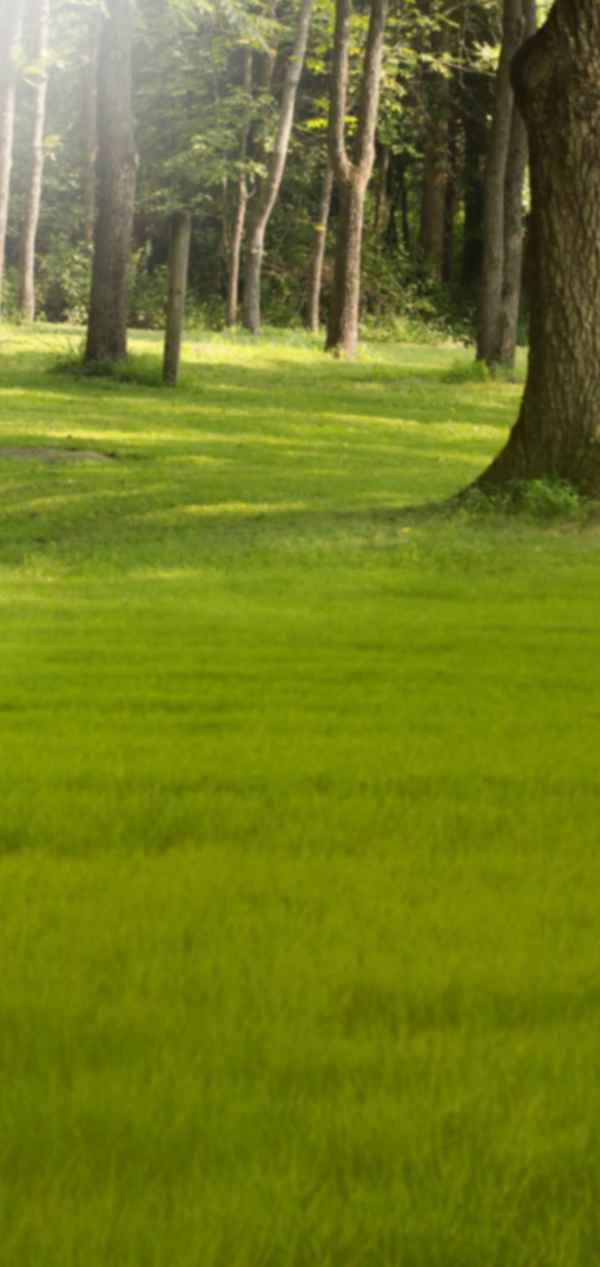 Kalaham Madhuram Poster 1