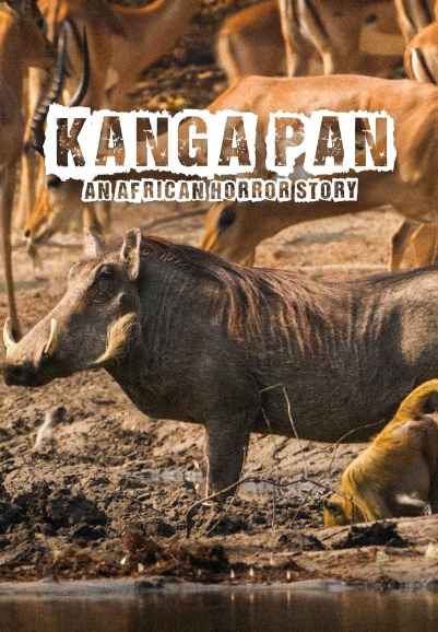 Kanga Pan: An African Horror Story