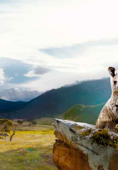Kangaroo Valley