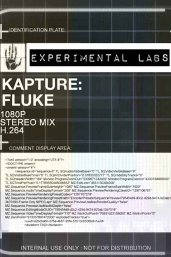 Kapture: Fluke Poster 4