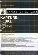 Kapture: Fluke Poster 6