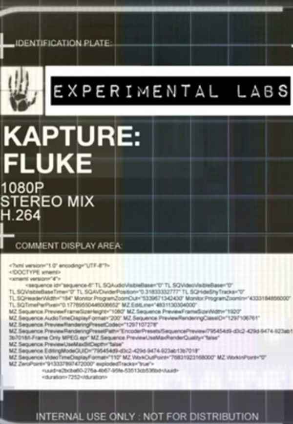 Kapture: Fluke Poster 6