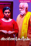 Karthika Deepam(కార్తీక దీపం) Poster 4